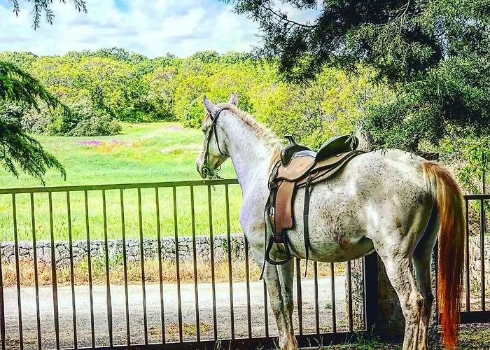 Masseria Paretano בית חווה *